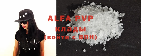 индика Верхний Тагил