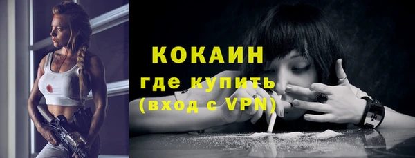 индика Верхний Тагил