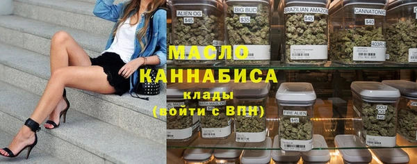 индика Верхний Тагил