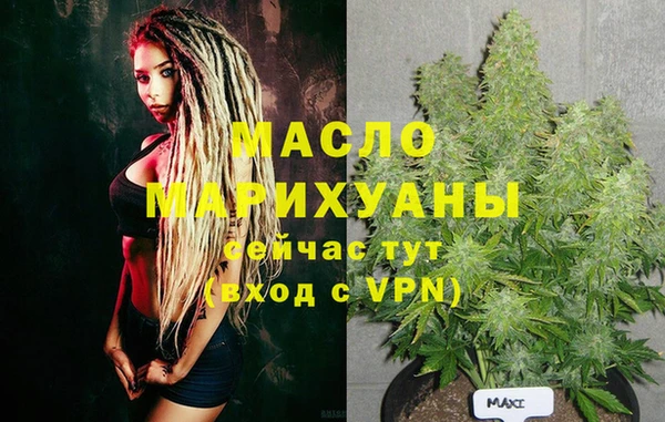 индика Верхний Тагил