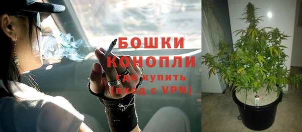 индика Верхний Тагил