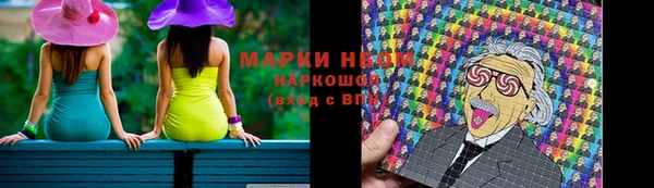 индика Верхний Тагил