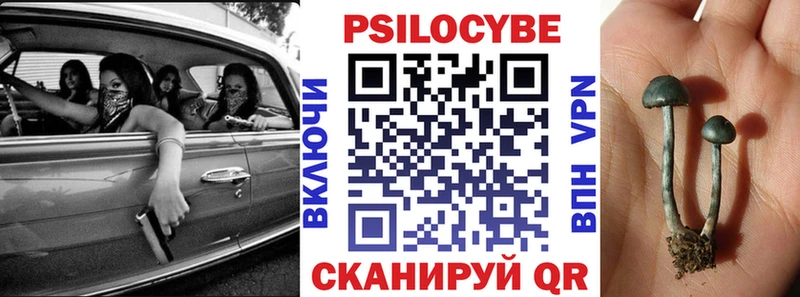 Псилоцибиновые грибы Cubensis  Купить закладки  Кола 