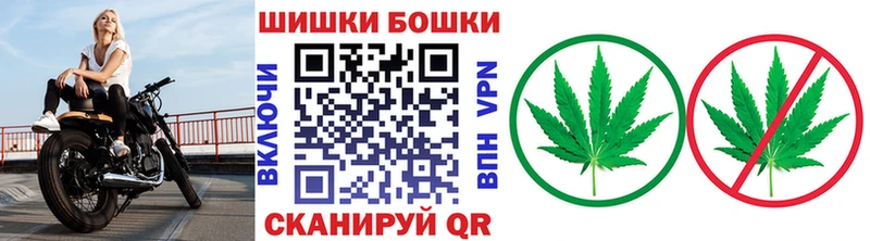Канабис ГИДРОПОН  Купить где  Кола 